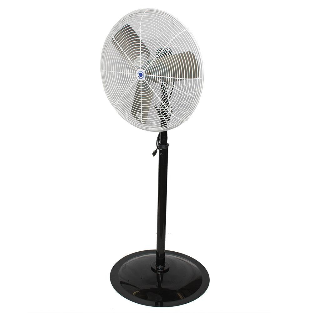 20 in. OSHA Compliant Pedestal Fan