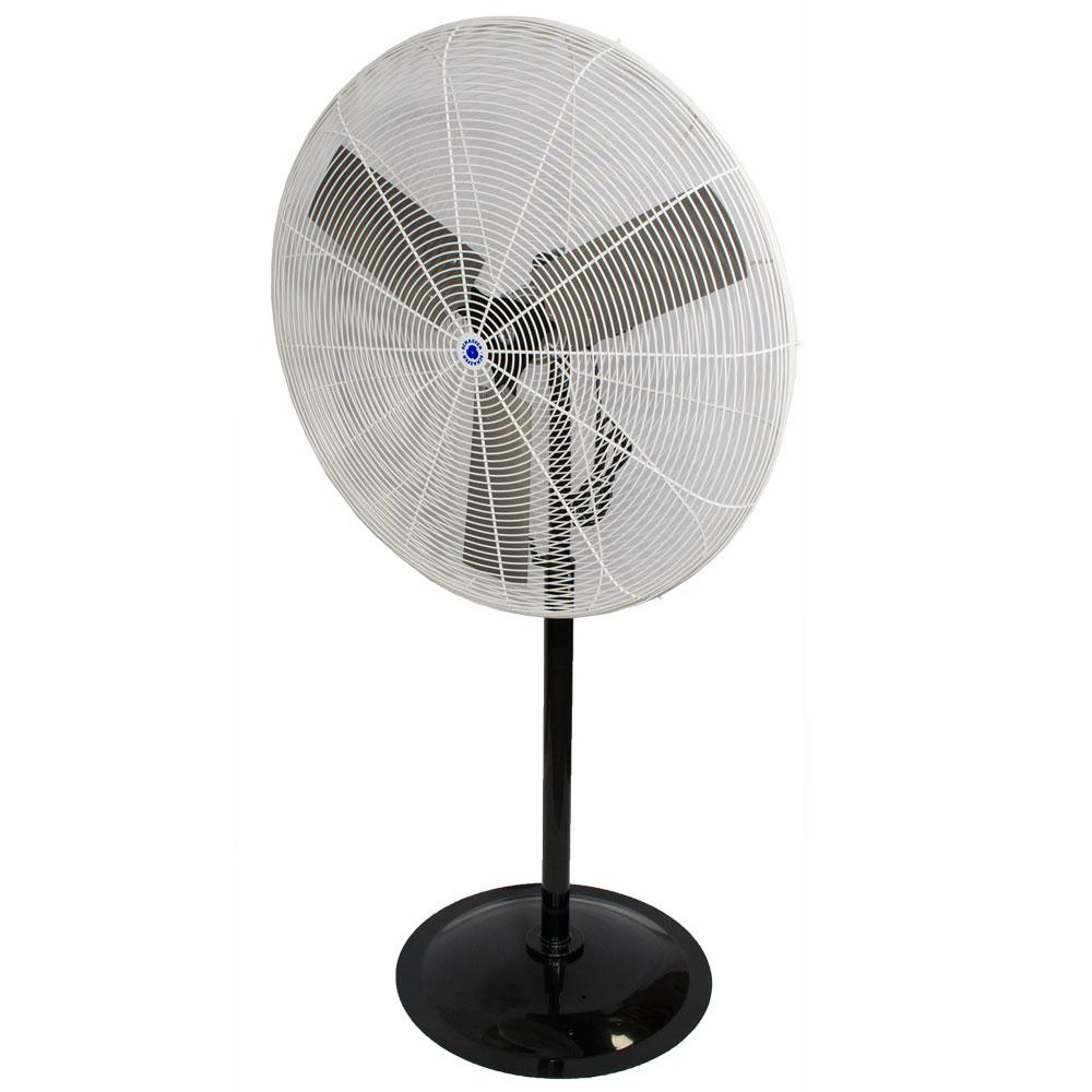 36 in. OSHA Compliant Pedestal Fan